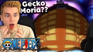 A WARLORD IS HERE??! (One Piece)