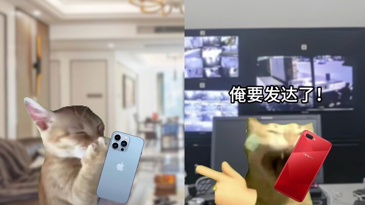 当父母托关系帮你找了份工作时