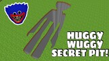 What is INSIDE THE BIGGEST HUGGY WUGGY PIT -  Minecraft Gameplay - Coffin Meme