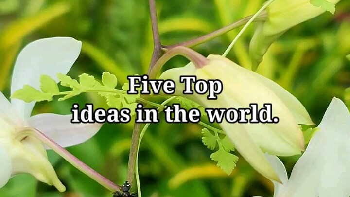 five top ideas in the world