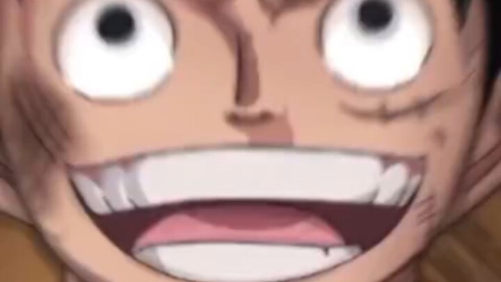 yosh Luffy