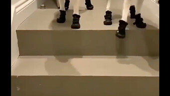 To protect their paws, their owner put shoes on them.