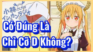 Có Đúng Là Chỉ Cỡ D Không?