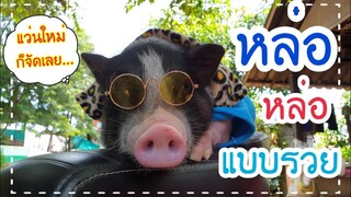 หล่อ หล่อ อย่างรวยแล้วใครจะทนไหวเล่า 🤭😎🤔🐷🐖