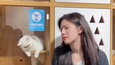 🐱เหมียวเหมียว: ทำไมไม่กอดฉันล่ะ ฉันไม่ใช่เด็กเหม็นหรอก😯