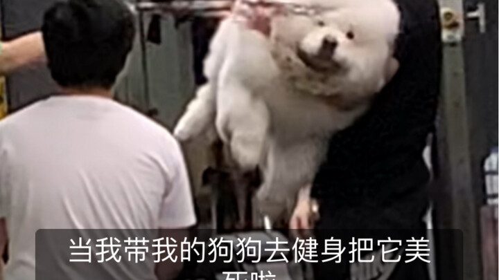 Polar is so happy!