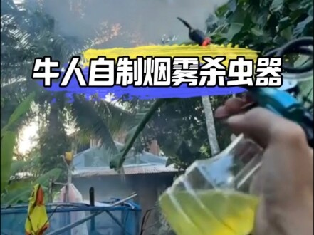 شخص موهوب يصنع بنفسه جهازًا للقضاء على الحشرات باستخدام الدخان
