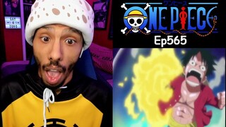 One Piece Episode 565 Reaction | Little Brothers Always Want To Be Like Their Older Brothers |