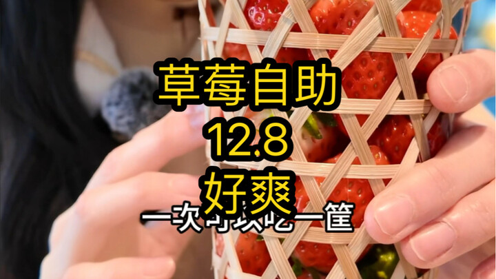 Tự do ăn dâu tây trong bữa buffet dâu, cuối cùng tôi cũng đã được thưởng thức tấn dâu tây đầu tiên c