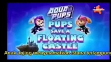 Paw patrol Musim 9 Episode 14 Bahasa indonesia
