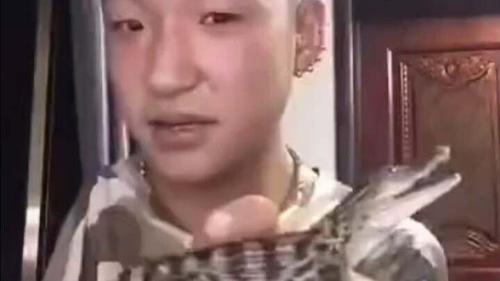 The decomposer of nature, Sheng Ge—the towering peak that mukbang can never surpass