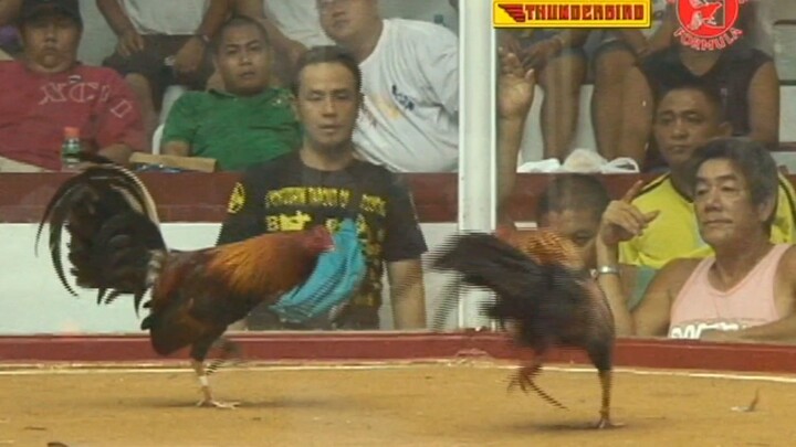 Classic Sabong Fights... The Late Otic Geroso vs. Boy Tuazon Thunderbird Boracay Challenge 2010