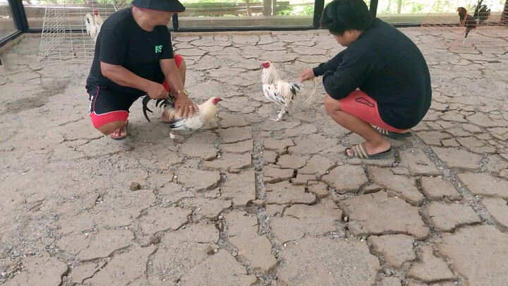 Kanawayon vs TaBas spar