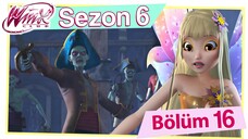 Winx Club - Sezon 6 Bölüm 16 - Zombi İstilası