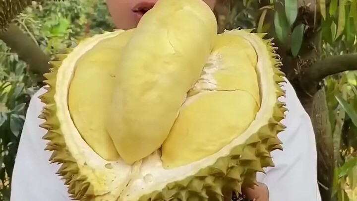 If you don’t know, just ask: What is “qie”?