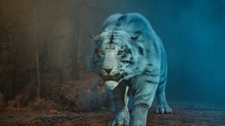 Who doesn't have a real body yet, a white tiger fighting a green dragon!