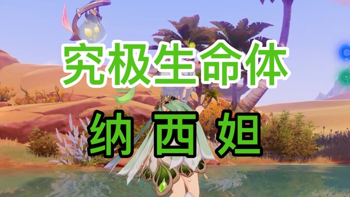 【草神纳西妲】我们须弥玩的就是生物科技，懂么小子