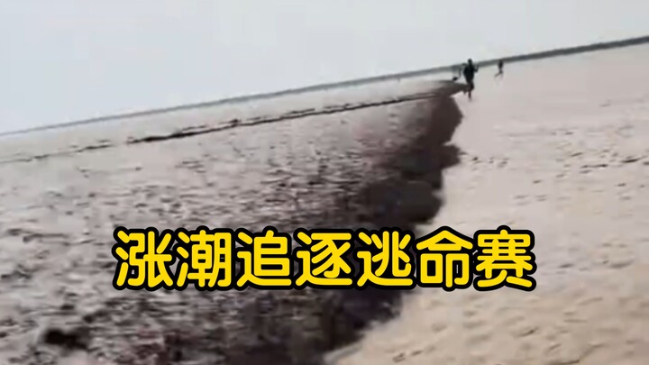 Tide Rising: I heard you’re a bit hard to woo?