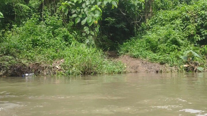 পাহাড়ি ঝর্ণার পথে