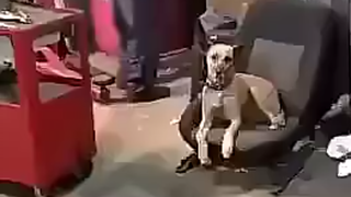 粤语话骂人