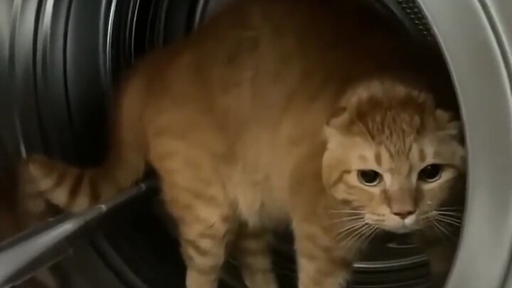 لغة حكيمي الغامضة