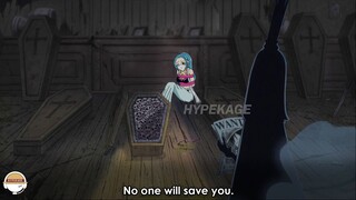 All the SECRETS of the WORLD GOVERNMENT in One Piece