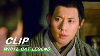 Chen Shi Learns about the Kidnapper’s Past | White Cat Legend EP15 | 大理寺少卿游 | iQIYI