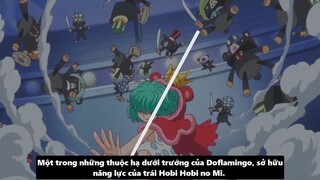 7 Nhân Vật Có Khả Năng Đánh Bại Kaido_ I Phân Tích One Piece p6