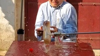 Mesin bantu menuangkan minuman! Penemuan paling canggih!