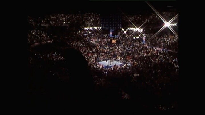 WrestleMania VII (1991)