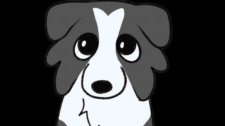 Hello, can I lick you? (A collection of puppy GIFs)