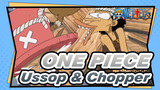 ONE PIECE
Ussop & Chopper