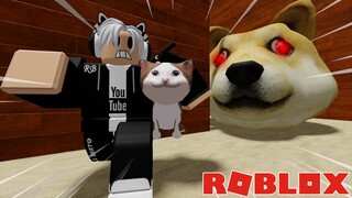 Operasi Penyelamatan POP CAT Dari KIAMAT DOGE! | Roblox Doge Head Escape