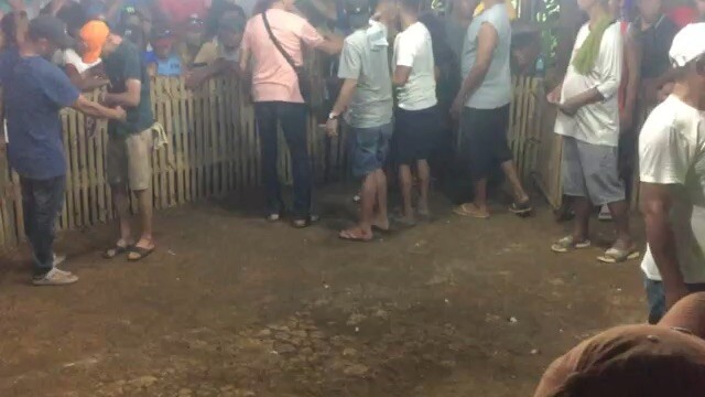 Dan Gray Hatch 1x winner