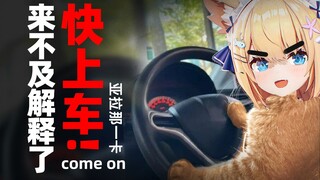 【三分钟看猫猫】这车有毒，快放我下车！