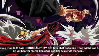 Các Cấp Độ của HAKI VŨ TRANG One Piece p2