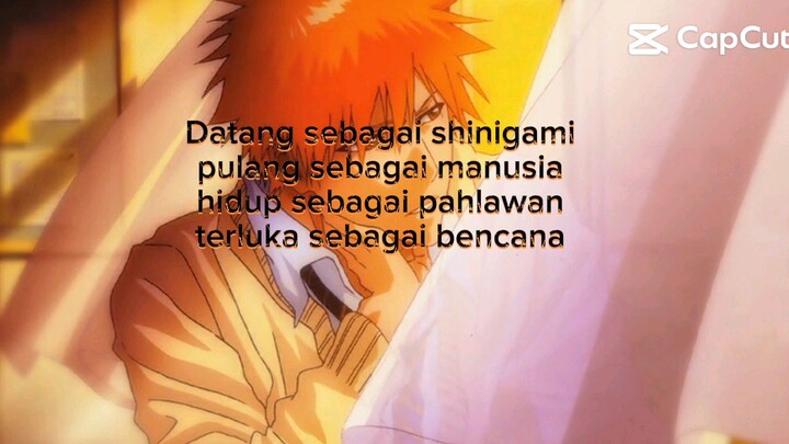 bleach