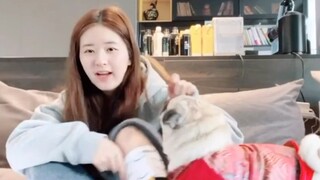 Làm sao một nghệ sĩ nữ lại có thể mang tất chân gà khi đang phát sóng trực tiếp nhỉ? Thật là ngớ ngẩ