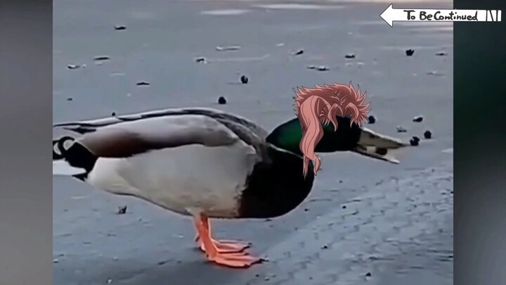 JOJO小剧场#3