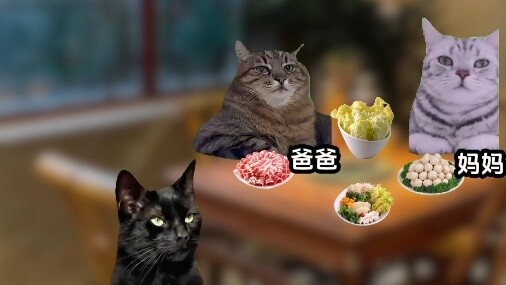 "Dệt giấc mơ nóng bỏng" #catmemethheatre#catmemestory#catmeme