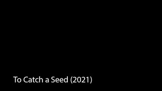 To Catch a Seed (2021)