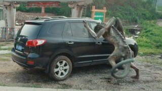 男人在野外遭到了怪物的袭击