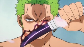 [One Piece/Sword Master] Jalur Pertumbuhan Roronoa Zoro (Bagian 2) Dua Tahun Kemudian