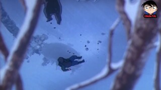 Thám Tử Lừng Danh Conan - Tập 184 - Nấm, Gấu Và Đội Thám Tử Nhí Phần 8