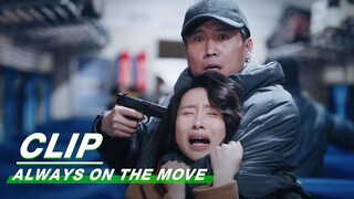 Wang Xin was Taken as a Hostage | Always on the Move EP38 | 南来北往 | iQIYI