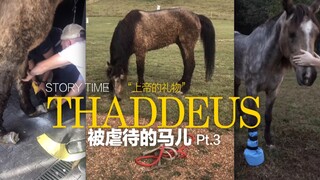الحصان الذي تعرض للإساءة جزء 3، أطلق عليه اسم "ثاديوس"، والذي يعني: هدية من الله