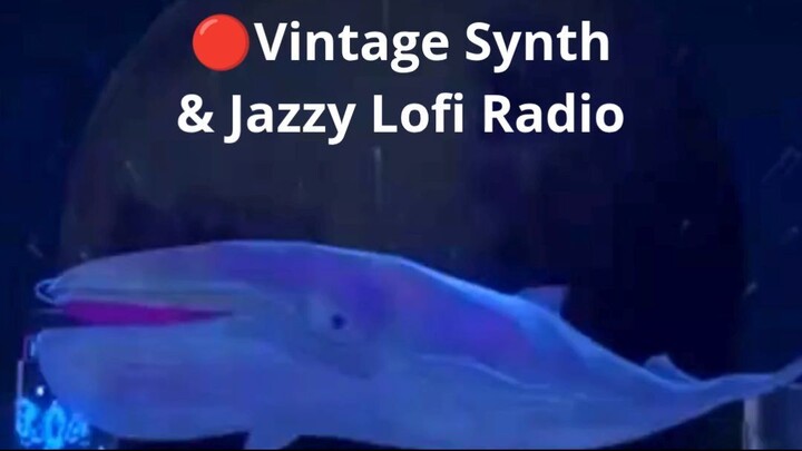 Vintage Synth & Jazzy Lofi Radio 🎵 Music by: DRAY-VINCS