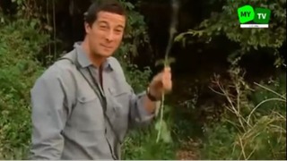 Review Năng Sinh Tồn Cùng Bear Grylls - Sinh Tồn Giữa Bầy Thú Ăn Thịt Châu Phi 28