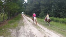 Jennifer Rides a Horse (Re-Upload Gallery Only) from Greatest Freakout Ever Short Information