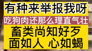 有种来举报我，只要你敢举报，我就敢让你蹲进去，这是一个领养人豪横的言语，下次我要录音，一年中的忙碌有时候感觉毫无意义。是自己做的还不够完善，我和小动物的这一年